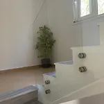 Er Deti 3*